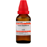 Dr. Willmar Schwabe India Cactus Grandiflorus Dilution 6CH